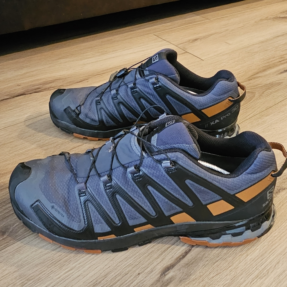 Salomon Hiking shoes